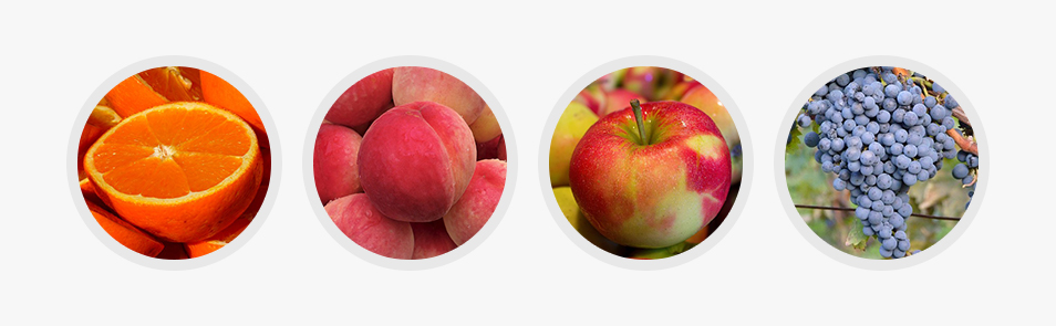 오렌지, 복숭아, 사과, 포도